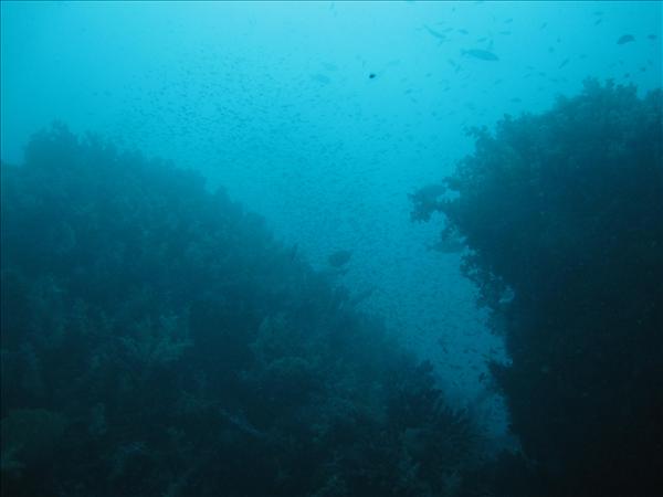 Similan Day 1 021.jpg